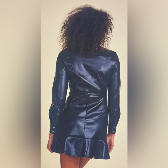 THE SHIRT BY ROCHELLE BEHRENS THE LEATHER DRESS NWT Medium - Picture 3 of 11